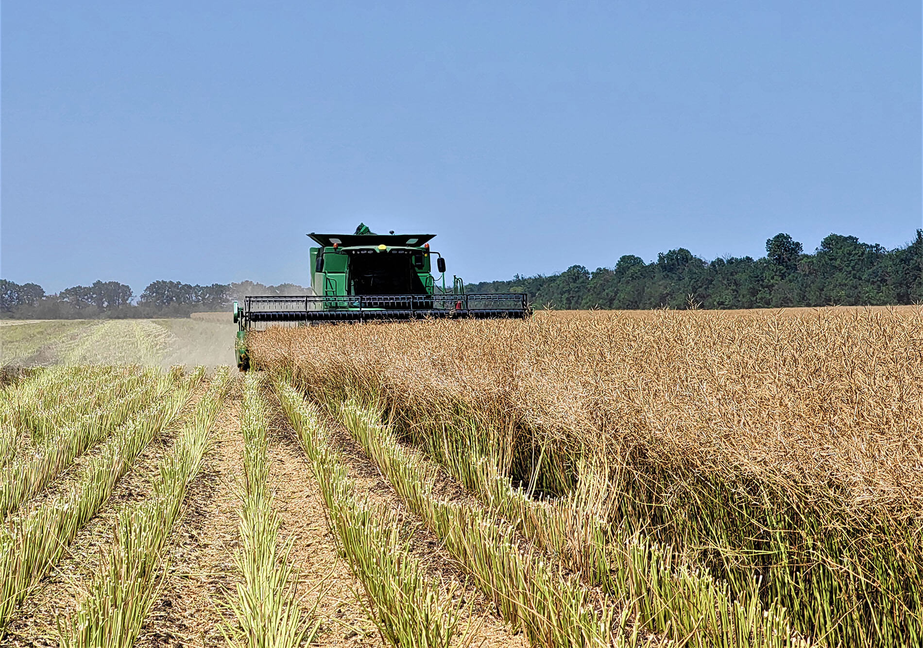 Ресей ауыл шаруашылығы үшін пестицидтердің жетіспеушілігіне қауіп төндіре ме?