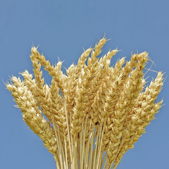 «Август-Камское Устье»